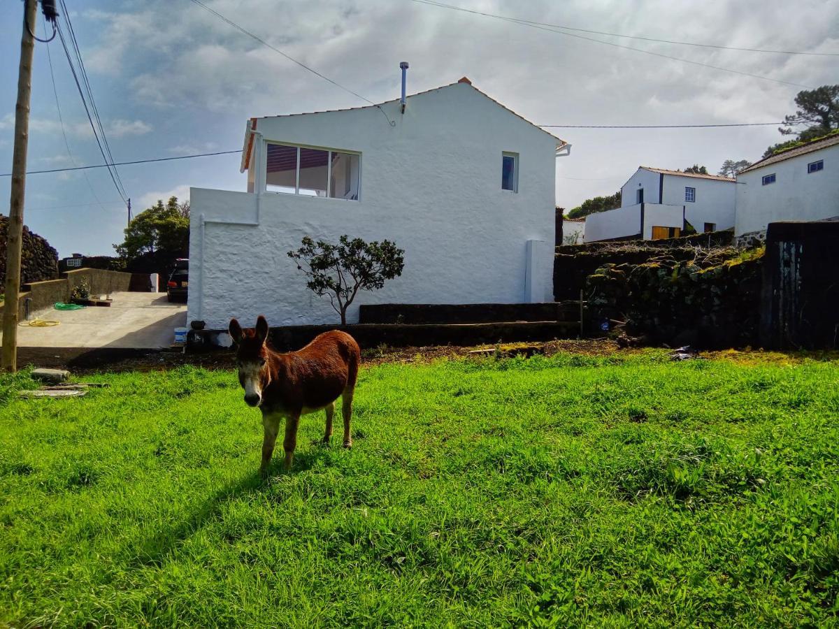 Willa Casa Do Marcelino Lagarto São Roque do Pico Zewnętrze zdjęcie