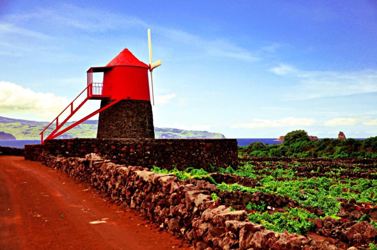 Willa Casa Do Marcelino Lagarto São Roque do Pico Zewnętrze zdjęcie